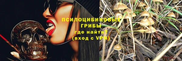 амф Дедовск