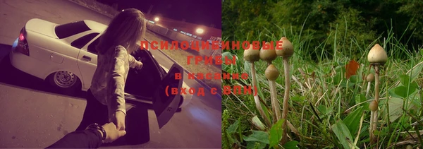 мдма Верхний Тагил