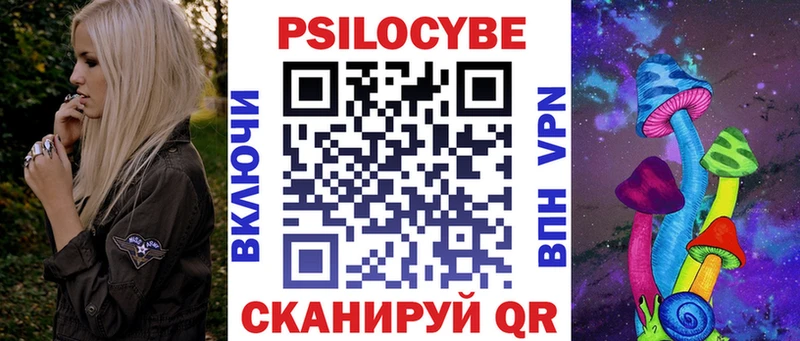 Галлюциногенные грибы Cubensis купить наркоту Новоржев