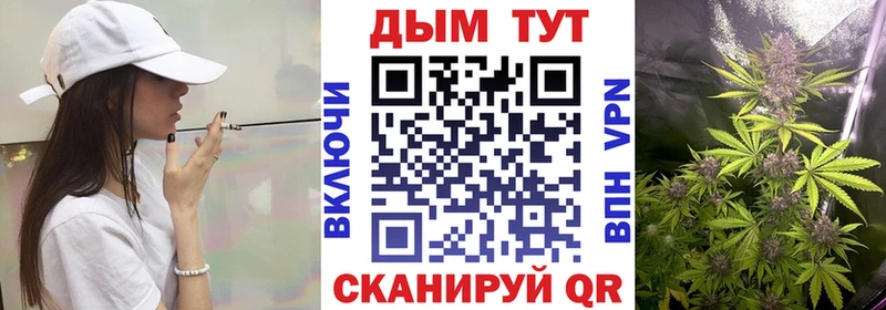 мориарти состав  Новоржев  Шишки марихуана Amnesia  купить  сайты 